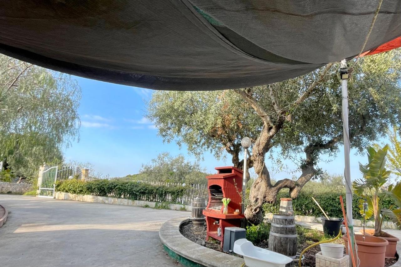 Music House A Castellana Grotte Confinante Via Per Turi 500M Dalle Grotte Kültér fotó