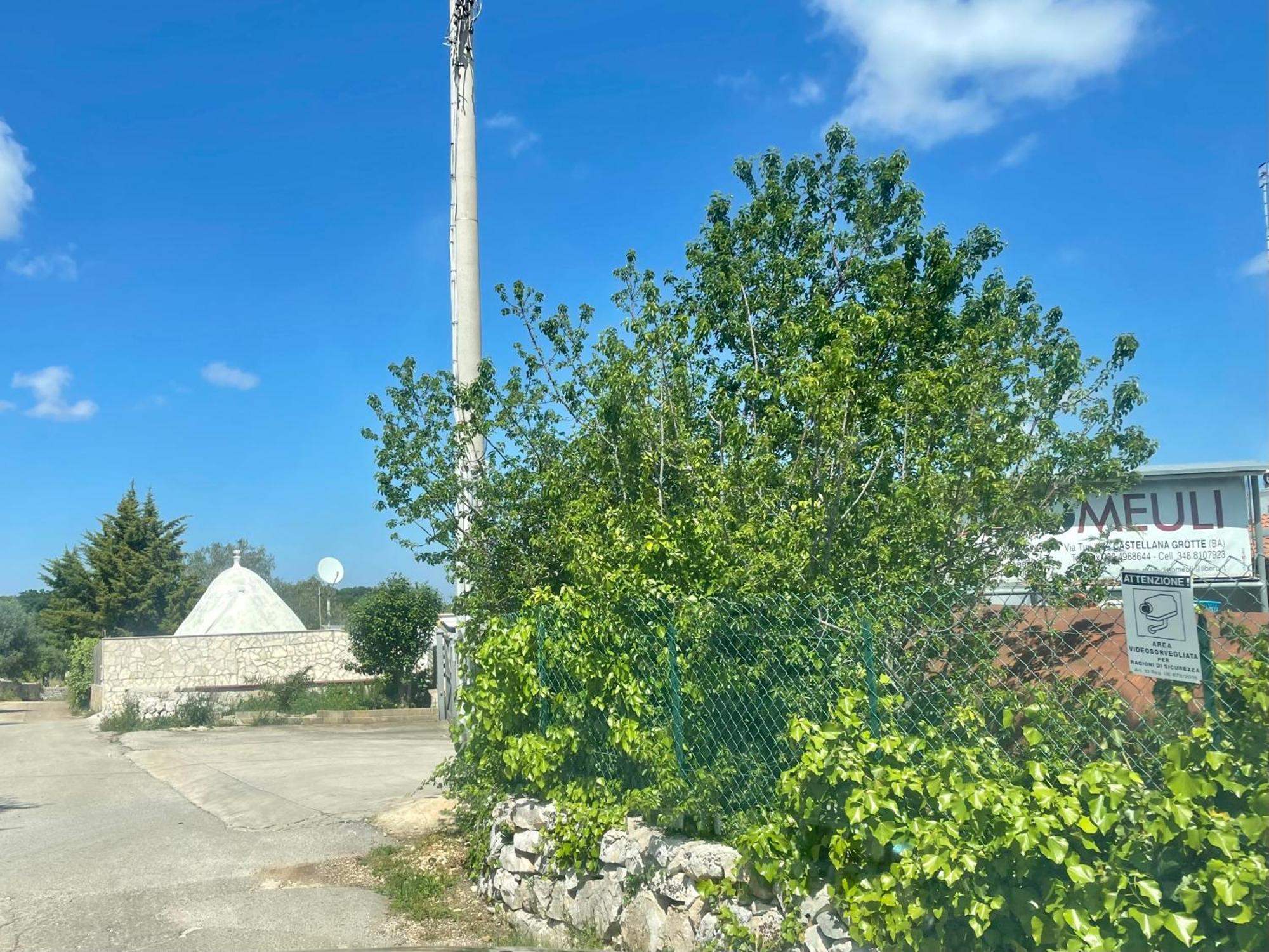 Music House A Castellana Grotte Confinante Via Per Turi 500M Dalle Grotte Kültér fotó