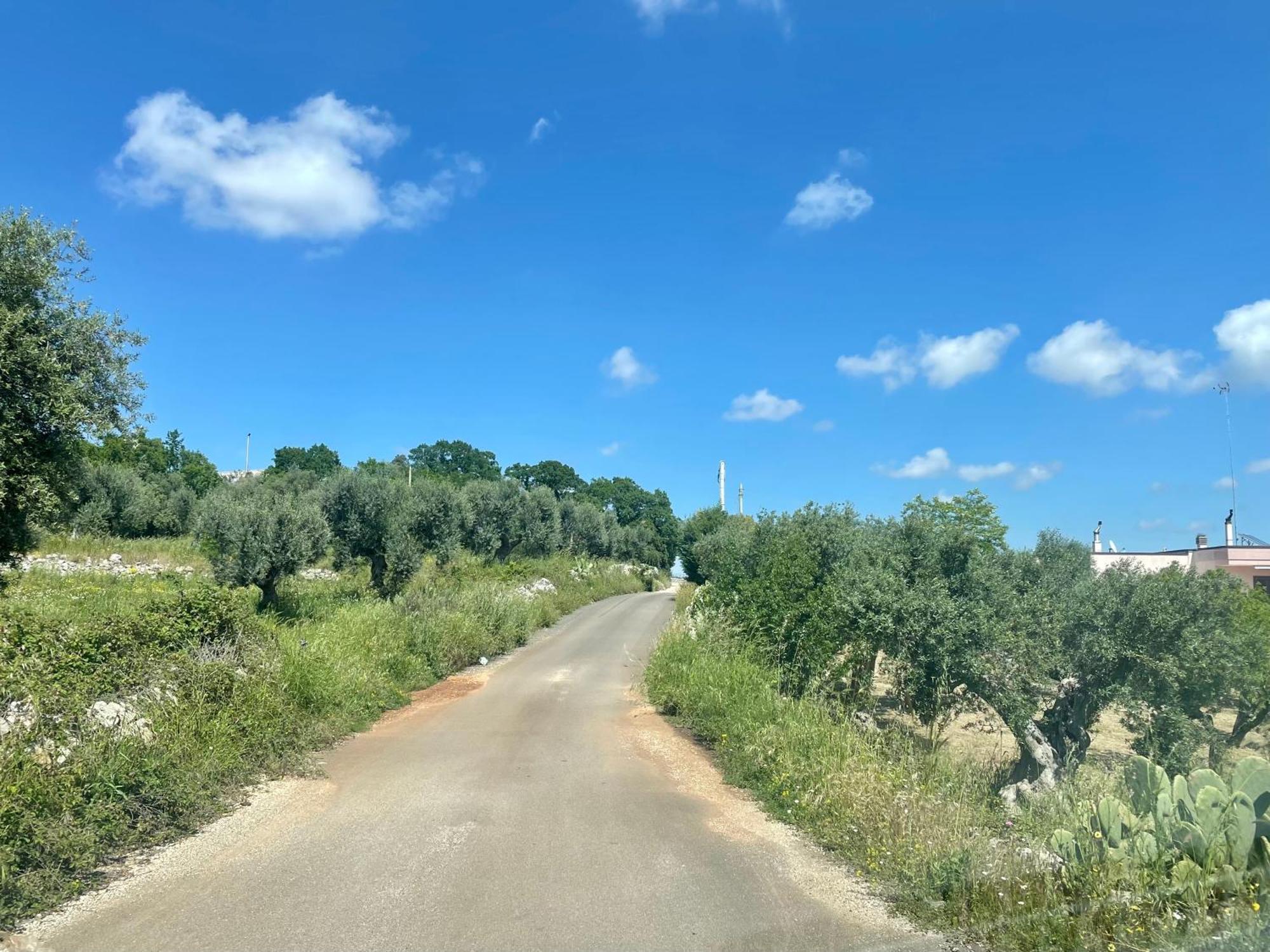 Music House A Castellana Grotte Confinante Via Per Turi 500M Dalle Grotte Kültér fotó